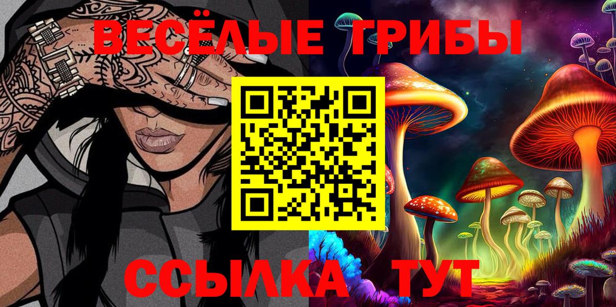 Галлюциногенные грибы Psilocybe  Вход с VPN  Элиста 