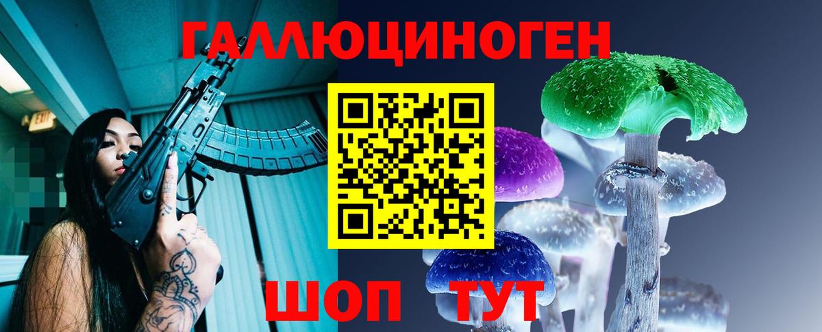 Галлюциногенные грибы Psilocybine cubensis Элиста