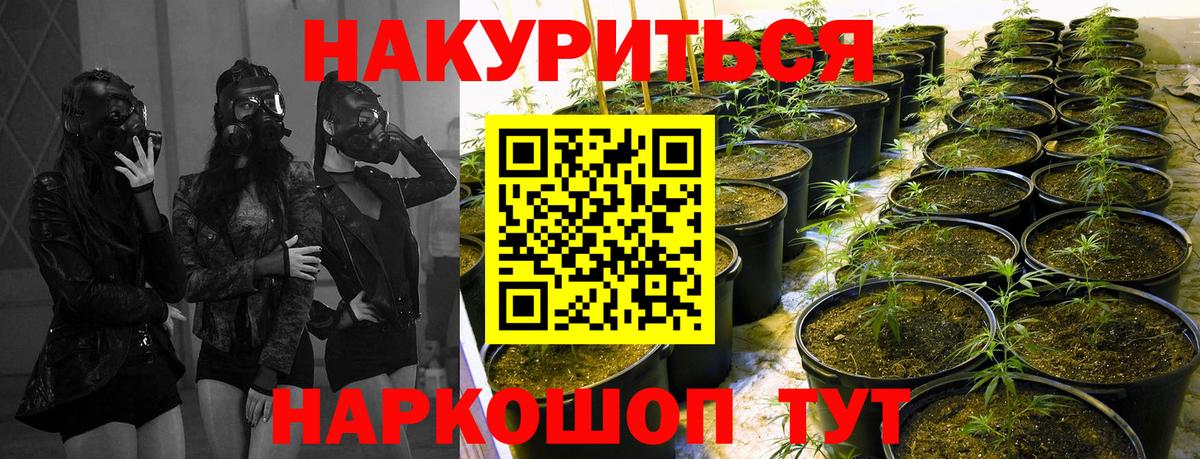 МАРИХУАНА тримм Элиста